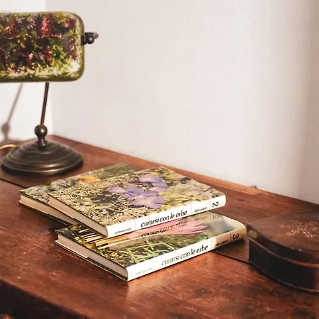 Maison Florine Apartment *
